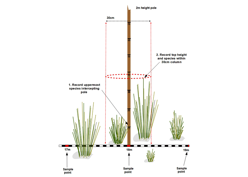 Surveying Vegetation Cover • Coastal Monitoring Database