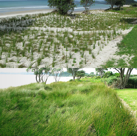 Taking repeated photographs over time from fixed photopoints is an excellent method for illustrating change in vegetation cover.